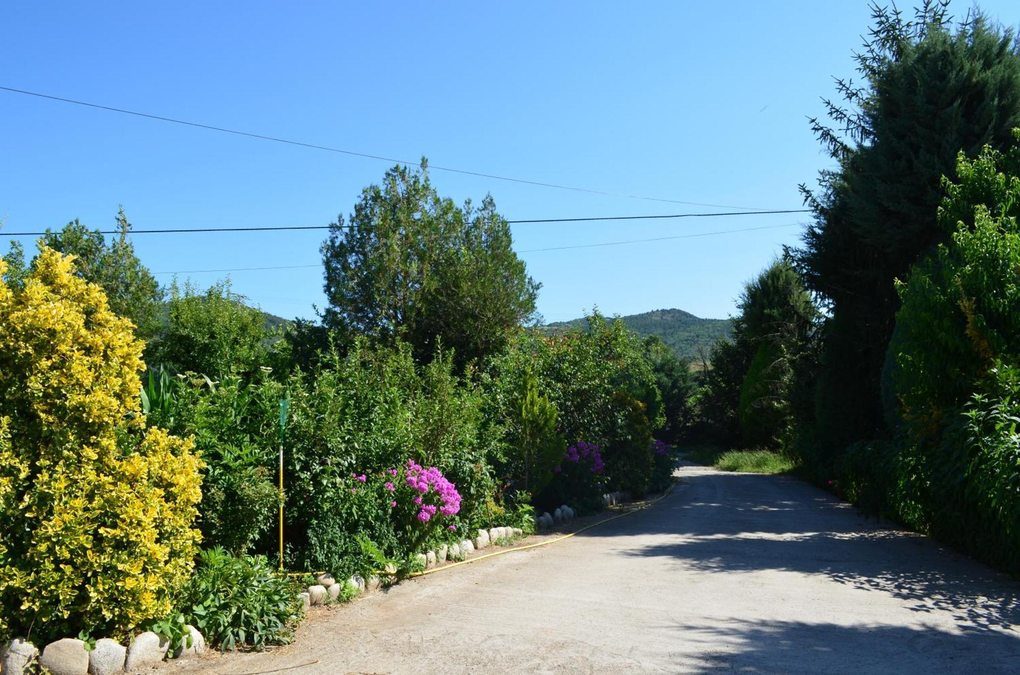 Casa Rural La Vall Del Cadi La Seu d'Urgell Eksteriør billede